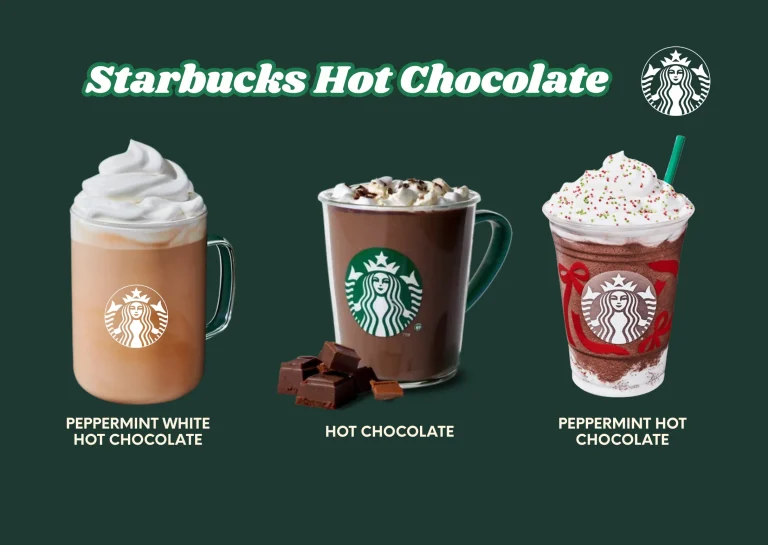 starbucks hot chocolate menu